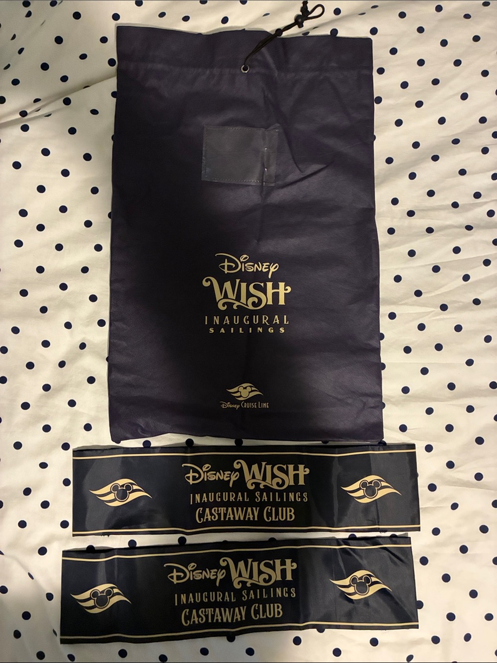 Disney Wish Dark Navy and Gold Inaugural Sailings Accessory Set